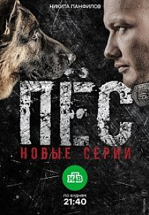 Пес 2 сезон (2016) смотреть онлайн