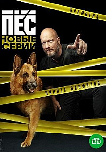 Пес 6 сезон (2020) смотреть онлайн