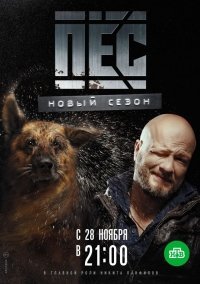 Пес 3 сезон (2017)