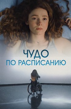 Чудо по расписанию (2016)